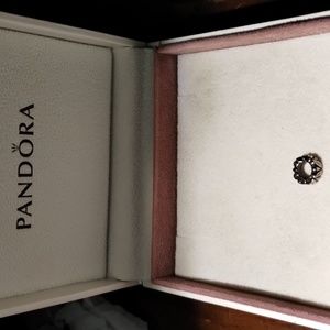 Ret. Pandora Leaf Slider Spacer Bead S925 #790206 EUC